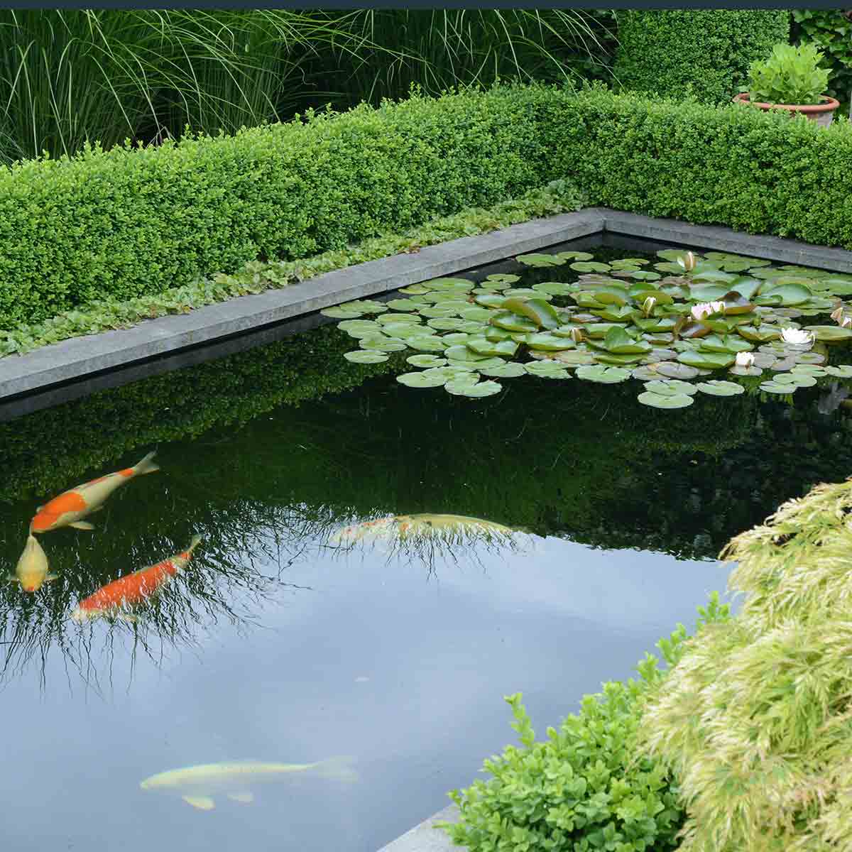 Bâche pour bassin Firestone, en EPDM, noir
