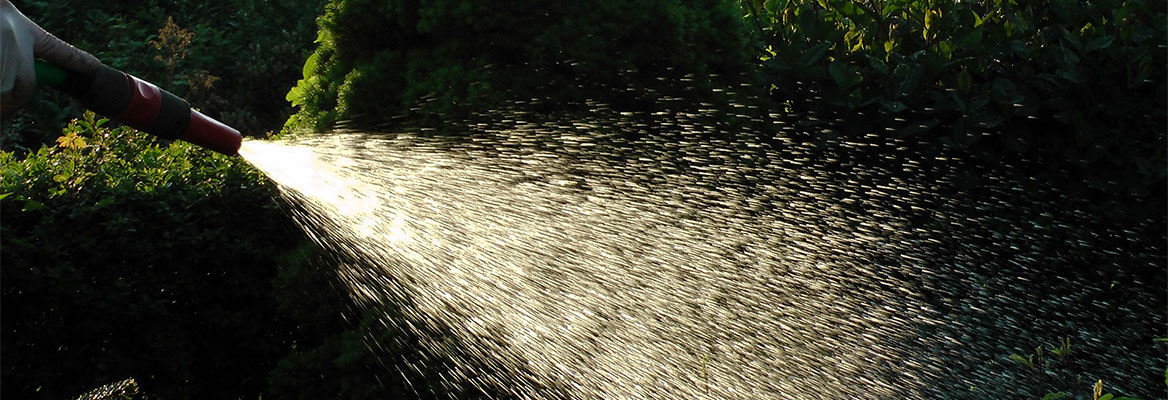 Utilisation dans le jardin Technique de pompage Utilisation de l'eau de pluie