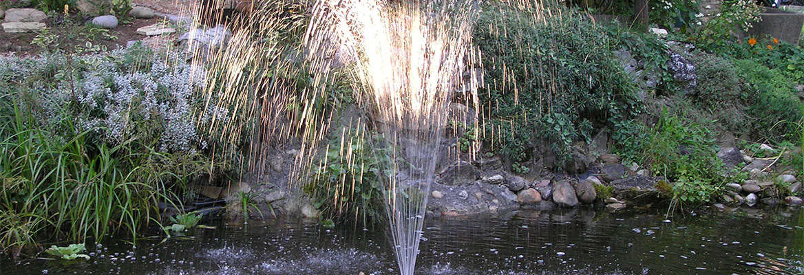 Teichpumpe Teichpumpen Wasserfoerderung Teichfilter