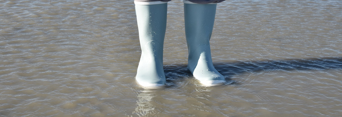 Schmutzwasserpumpe Wasser Entsorgung Foerderung